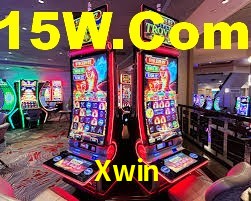 Premium Interface Xwin